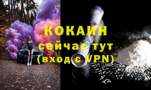 трава Гусиноозёрск