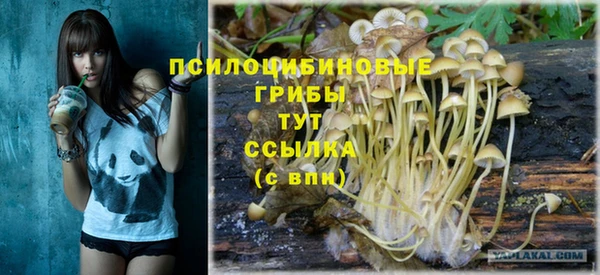 трава Гусиноозёрск