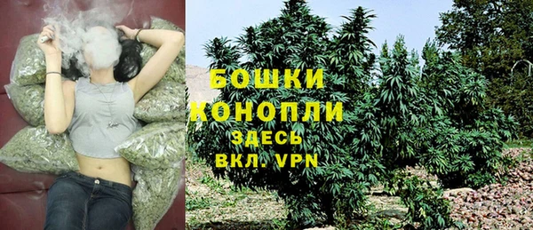 трава Гусиноозёрск