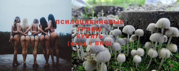 трава Гусиноозёрск